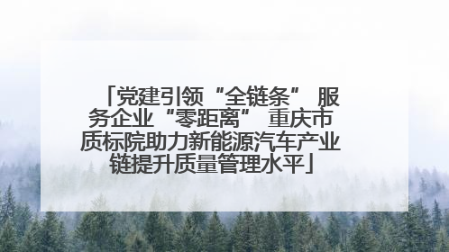 党建引领“全链条” 服务企业“零距离” 重庆市质标院助力新能源汽车产业链提升质量管理水平