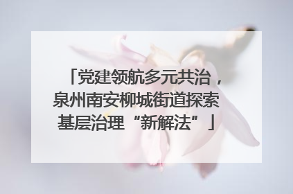 党建领航多元共治，泉州南安柳城街道探索基层治理“新解法”