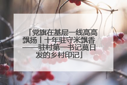 党旗在基层一线高高飘扬丨十年驻守米飘香——驻村第一书记莫日发的乡村印记