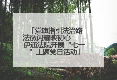党旗指引法治路 法徽闪耀映初心——伊通法院开展“七一”主题党日活动
