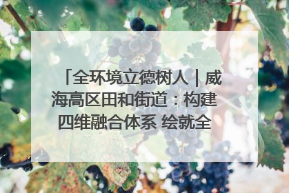 全环境立德树人｜威海高区田和街道：构建四维融合体系 绘就全环境立德树人新画卷