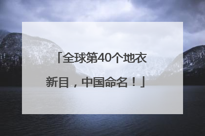 全球第40个地衣新目，中国命名！