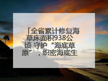 全省累计修复海草床面积938公顷 守护“海底草原”，织密海底生态“一张网”