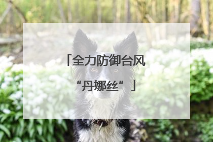全力防御台风“丹娜丝”