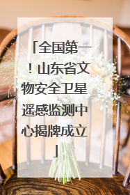 全国第一！山东省文物安全卫星遥感监测中心揭牌成立