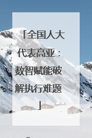 全国人大代表高亚：数智赋能破解执行难题