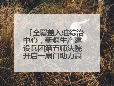 全覆盖入驻综治中心，新疆生产建设兵团第五师法院开启一扇门助力高速讨薪获赞
