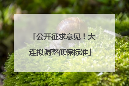 公开征求意见！大连拟调整低保标准