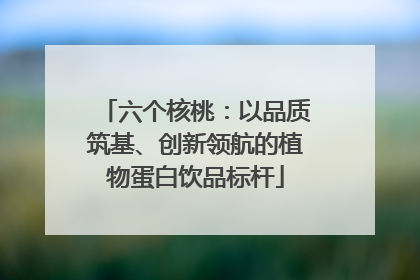 六个核桃：以品质筑基、创新领航的植物蛋白饮品标杆
