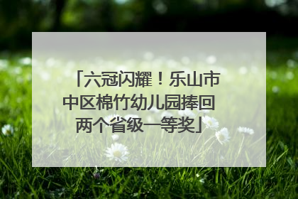 六冠闪耀！乐山市中区棉竹幼儿园捧回两个省级一等奖