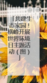 共建生态家园！横峰开展世界环境日主题活动（图）