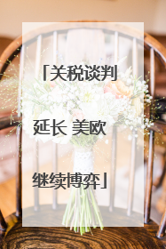 关税谈判延长 美欧继续博弈