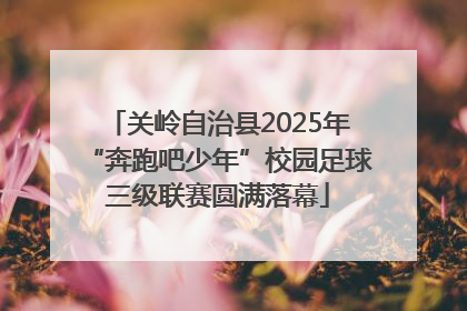 关岭自治县2025年“奔跑吧少年”校园足球三级联赛圆满落幕