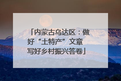 内蒙古乌达区：做好“土特产”文章 写好乡村振兴答卷