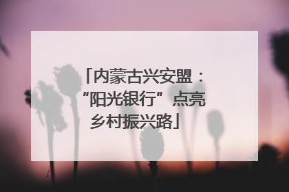 内蒙古兴安盟:“阳光银行”点亮乡村振兴路