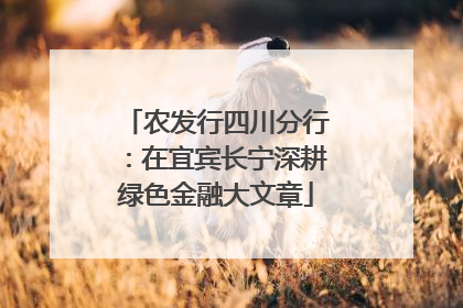 农发行四川分行：在宜宾长宁深耕绿色金融大文章
