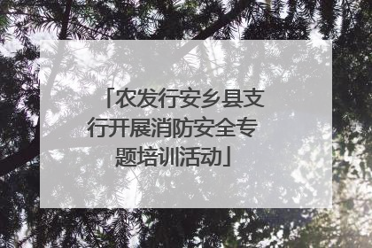 农发行安乡县支行开展消防安全专题培训活动