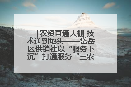农资直通大棚 技术送到地头——岱岳区供销社以“服务下沉”打通服务“三农”最后一公里