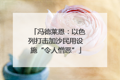 冯德莱恩：以色列打击加沙民用设施“令人憎恶”
