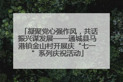 凝聚党心强作风，共话振兴谋发展——通城县马港镇金山村开展庆“七一”系列庆祝活动