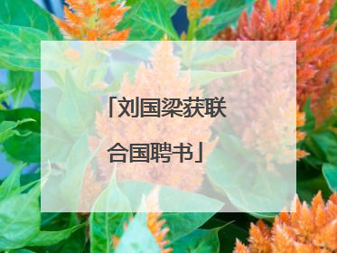 刘国梁获联合国聘书