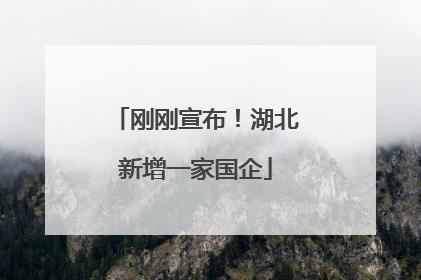 刚刚宣布！湖北新增一家国企