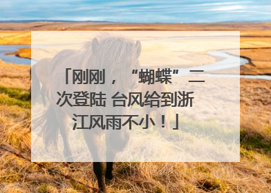 刚刚，“蝴蝶”二次登陆 台风给到浙江风雨不小！