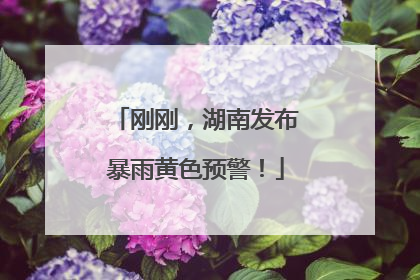 刚刚，湖南发布暴雨黄色预警！
