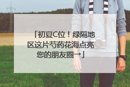 初夏C位！绿隔地区这片芍药花海点亮您的朋友圈→