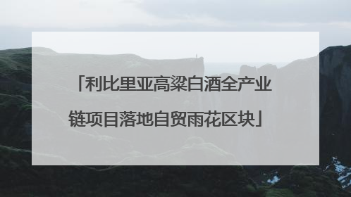 利比里亚高粱白酒全产业链项目落地自贸雨花区块