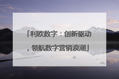 利欧数字：创新驱动，领航数字营销浪潮