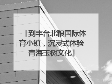 到丰台北粮国际体育小镇，沉浸式体验青海玉树文化