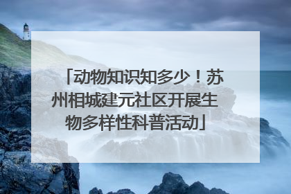 动物知识知多少！苏州相城建元社区开展生物多样性科普活动