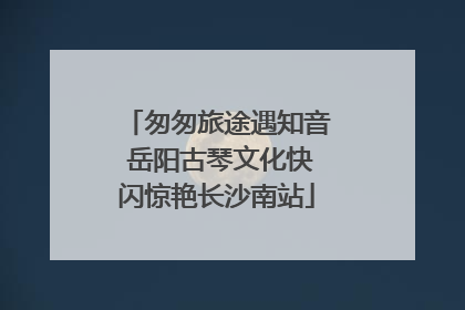 匆匆旅途遇知音 岳阳古琴文化快闪惊艳长沙南站