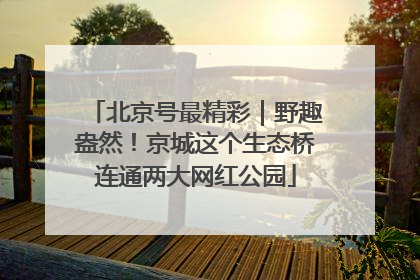 北京号最精彩｜野趣盎然！京城这个生态桥连通两大网红公园