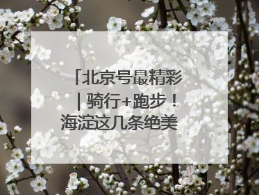 北京号最精彩｜骑行+跑步！海淀这几条绝美路线不容错过