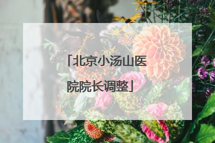 北京小汤山医院院长调整