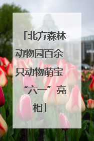 北方森林动物园百余只动物萌宝“六一”亮相