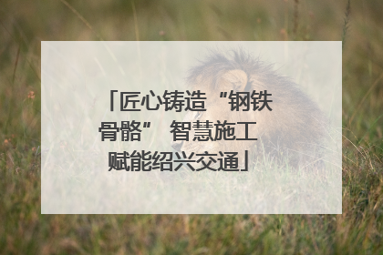 匠心铸造“钢铁骨骼” 智慧施工赋能绍兴交通