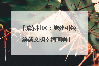 城东社区：党建引领绘就文明幸福画卷