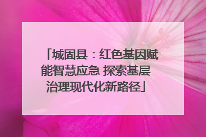 城固县：红色基因赋能智慧应急 探索基层治理现代化新路径