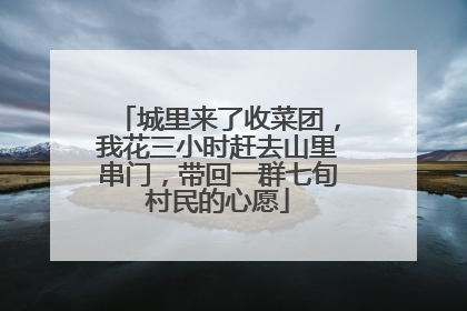 城里来了收菜团，我花三小时赶去山里串门，带回一群七旬村民的心愿