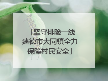 坚守排险一线 建德市大同镇全力保障村民安全