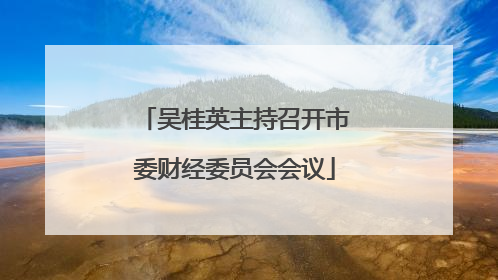 吴桂英主持召开市委财经委员会会议