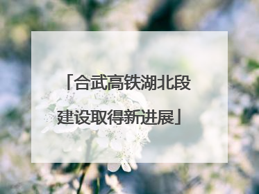 合武高铁湖北段建设取得新进展