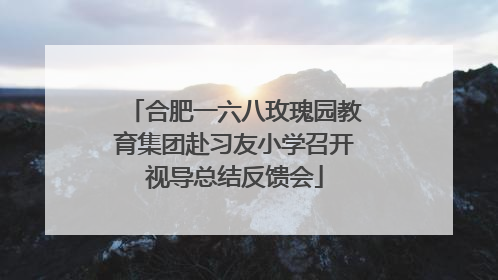 合肥一六八玫瑰园教育集团赴习友小学召开视导总结反馈会