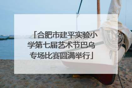 合肥市建平实验小学第七届艺术节巴乌专场比赛圆满举行