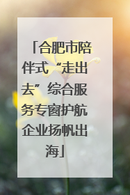 合肥市陪伴式“走出去”综合服务专窗护航企业扬帆出海