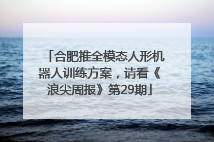 合肥推全模态人形机器人训练方案，请看《浪尖周报》第29期