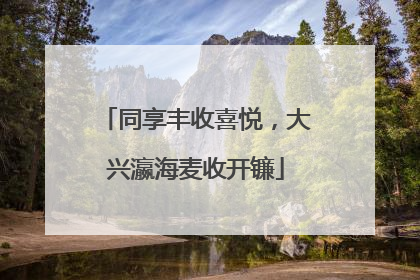 同享丰收喜悦，大兴瀛海麦收开镰
